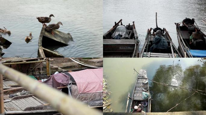 渔船渔民生活鸭子乌篷船打渔为生渔夫