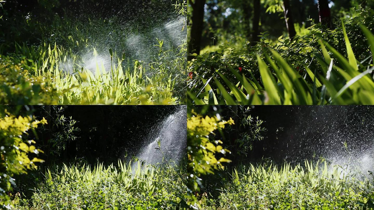 草坪灌溉浇水
