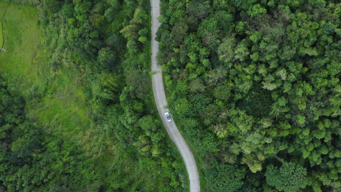 4K航拍汽车警车在山路森林中行驶