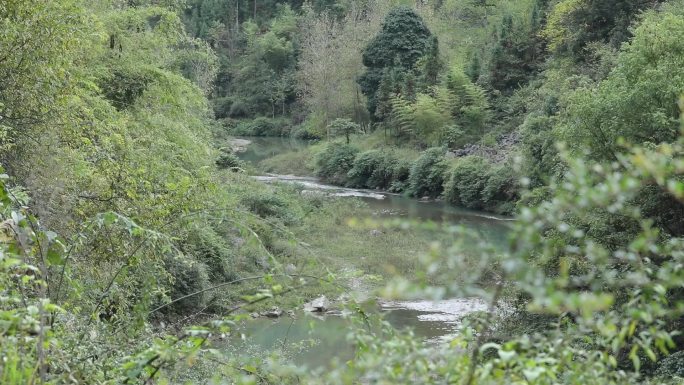 安静的小溪河水水车农村