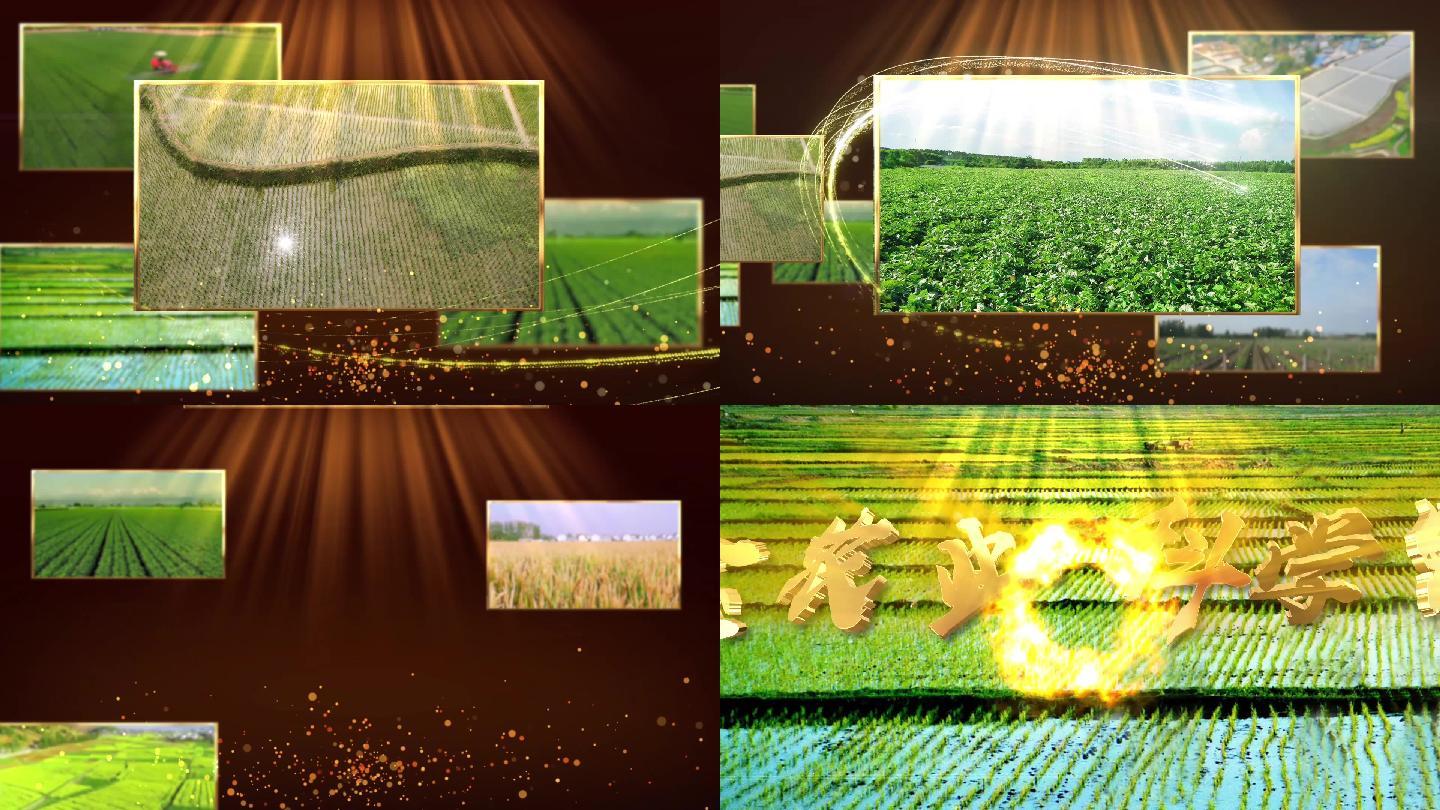 农业图片照片展示AE模板