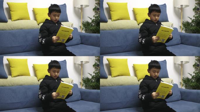 4K客厅沙发上认真读书的小孩子