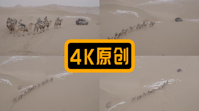 沙漠航拍吉普车带领驼队穿越沙漠