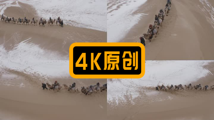 沙漠骆驼穿越无人区，戈壁滩，下雪的沙漠