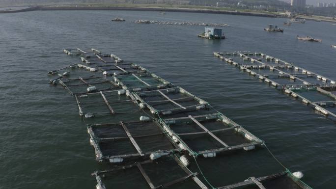 海面养殖养鱼网箱航拍
