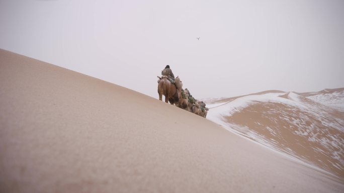 沙漠骆驼穿越无人区，戈壁滩，下雪的沙漠