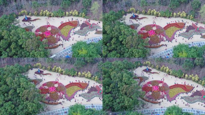 桂林訾洲公园园艺游客航拍花季