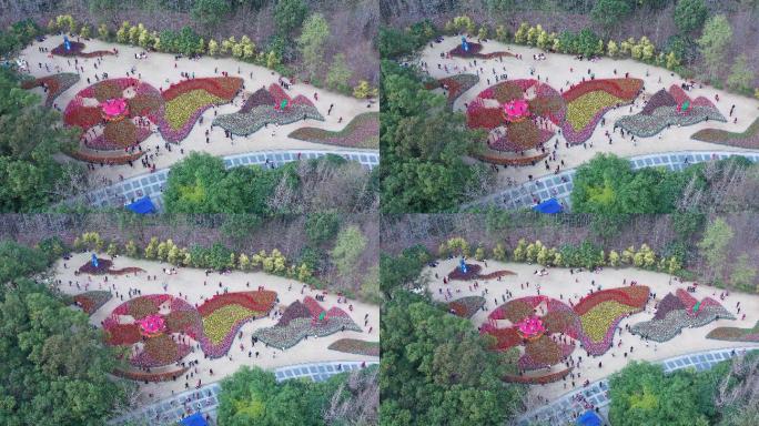 桂林訾洲公园园艺游客航拍花季