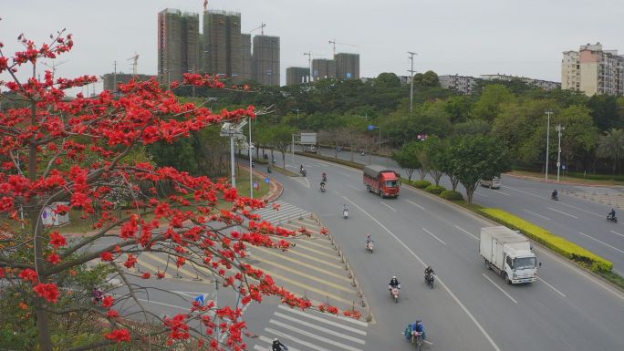 实拍广西南宁市立交桥上的木棉花