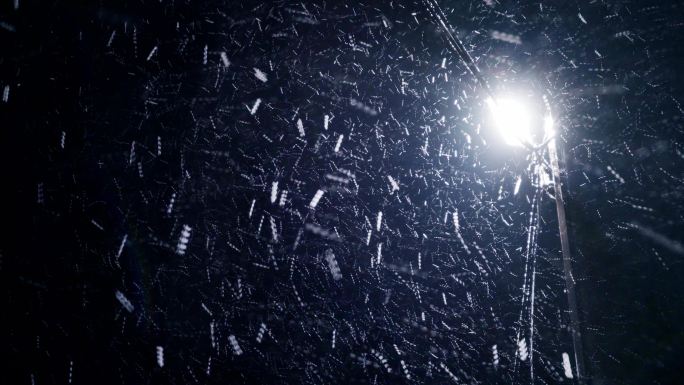 农村下雪的夜晚丨4K丨原创实拍