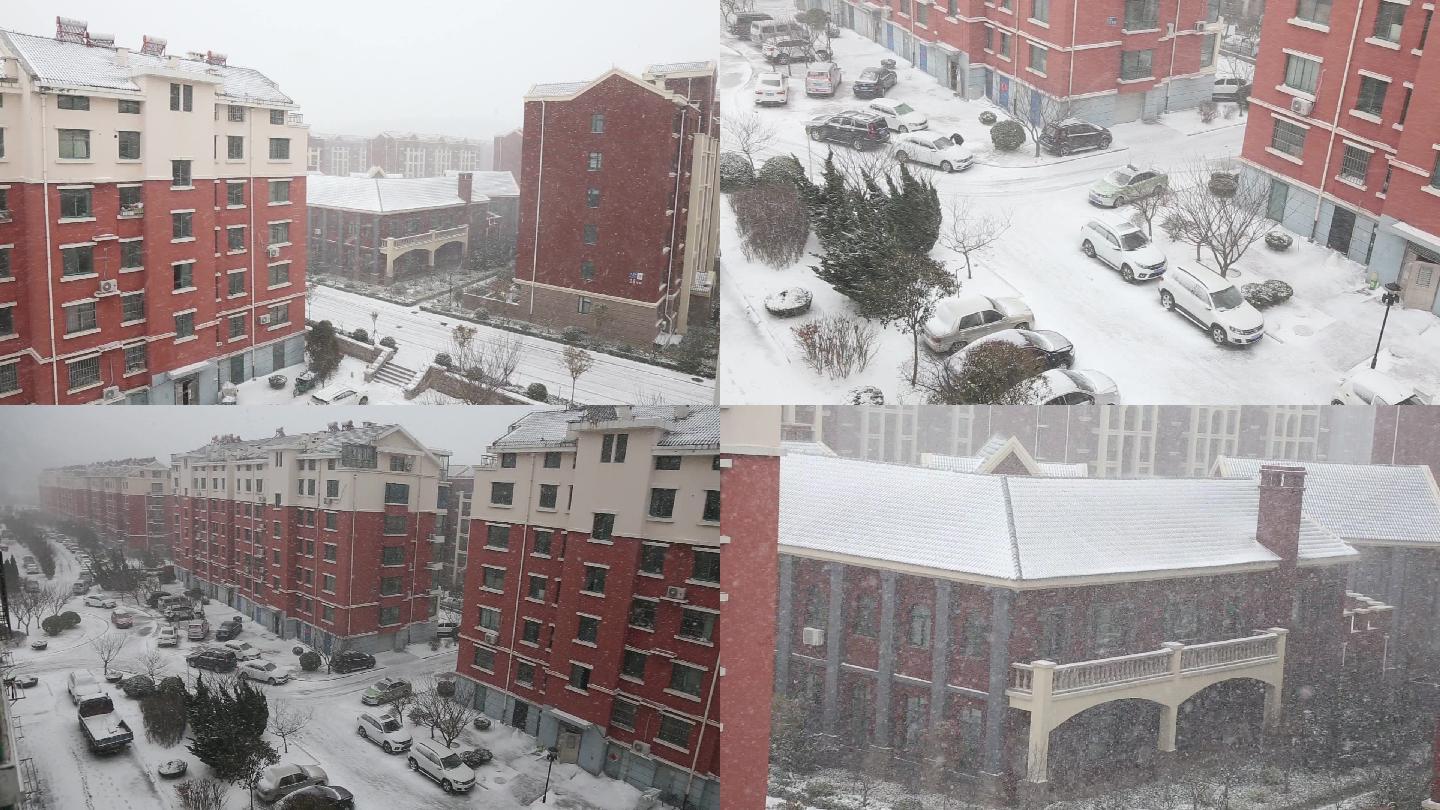 伴随着冷空气和强降温，鹅毛大雪飘摇而至，纷纷扬扬的雪花……__财经头条