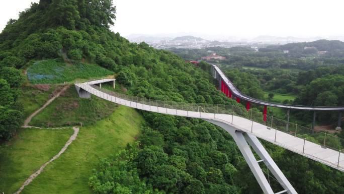 舶拍微雨中的山湖绿道悬桥