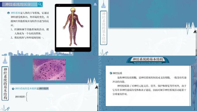 综合类课程模板10