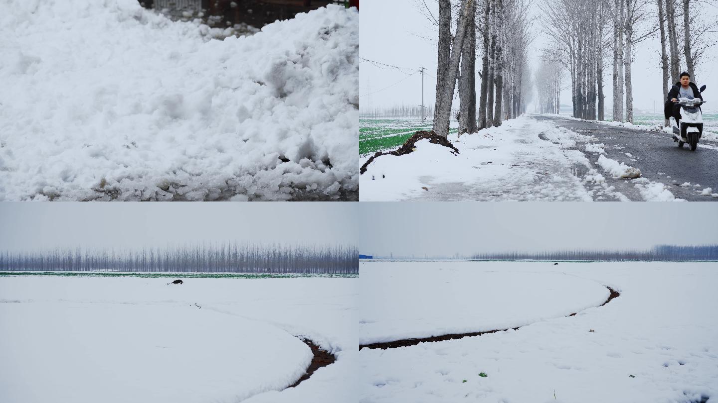 农村雪地景色丨4K丨原创实拍