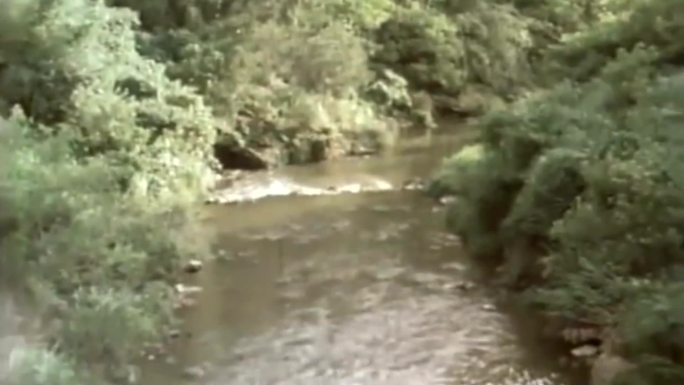 70年代台湾小学生假期玩耍河流小溪钓鱼