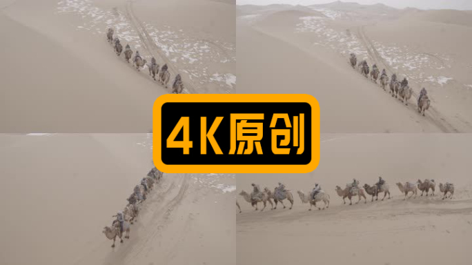 沙漠航拍吉普车带领驼队穿越沙漠