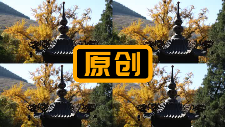寺庙香炉银杏树背景