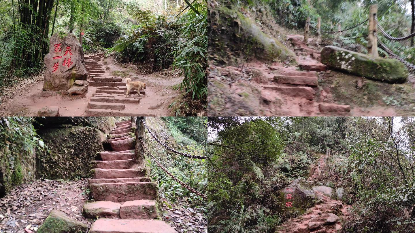 爱情天梯登山石阶山路崎岖视频