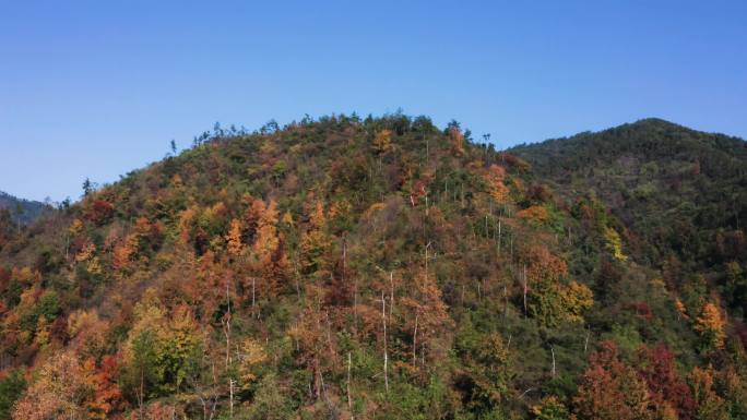 群山峻岭伟岸山林大气航拍