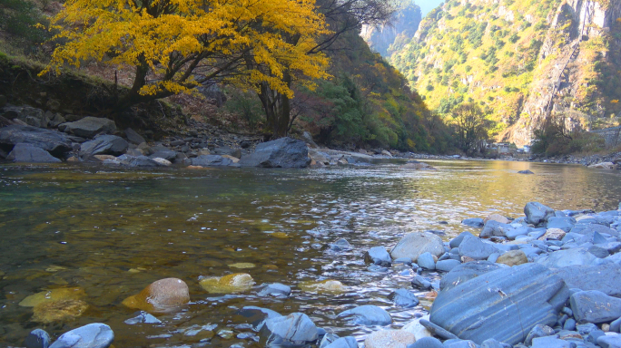 贡嘎山西坡九龙沟伟大的溪流