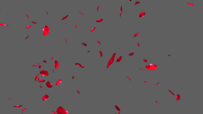 玫瑰花瓣掉落飘逸视频素材