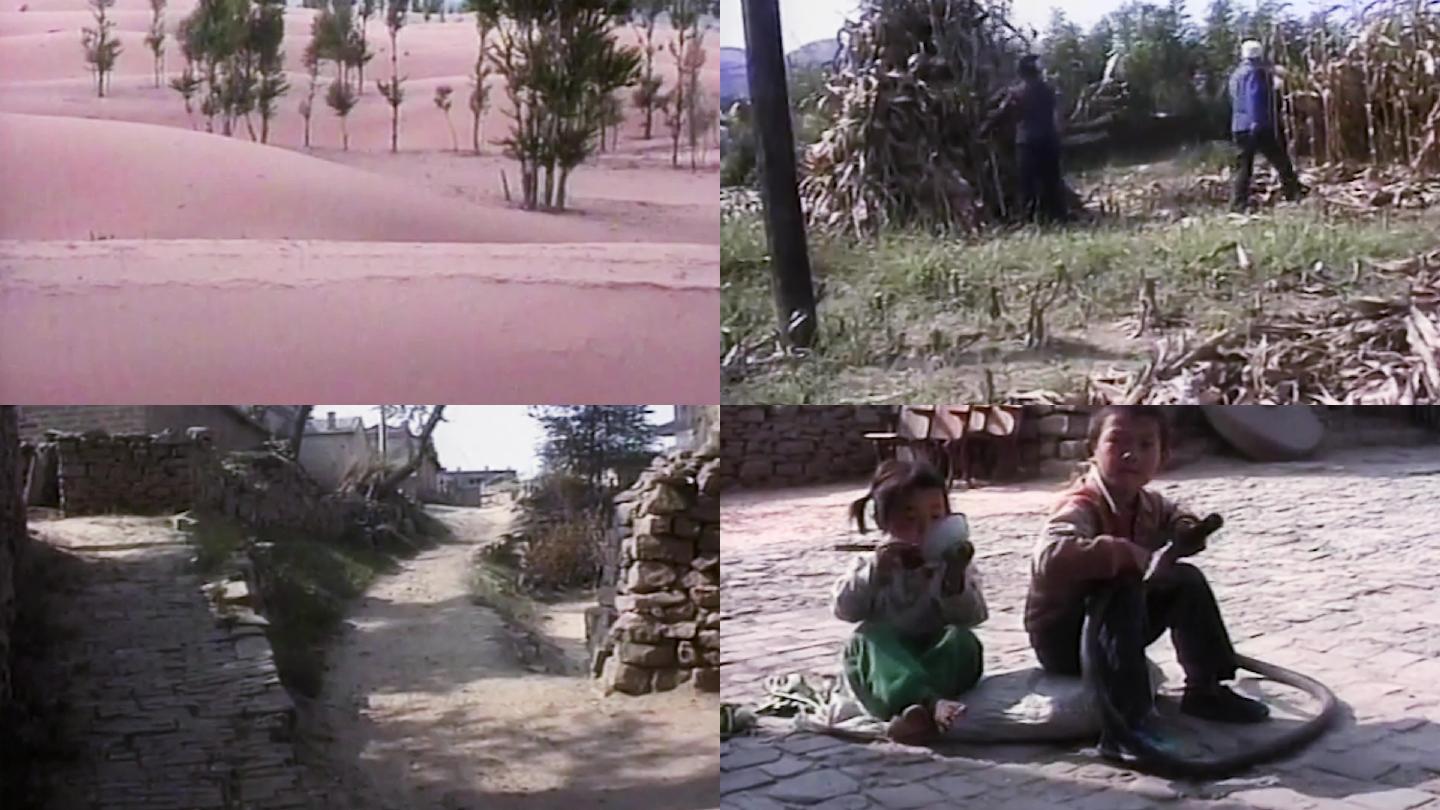 90年代陕北农村沙漠植树造林