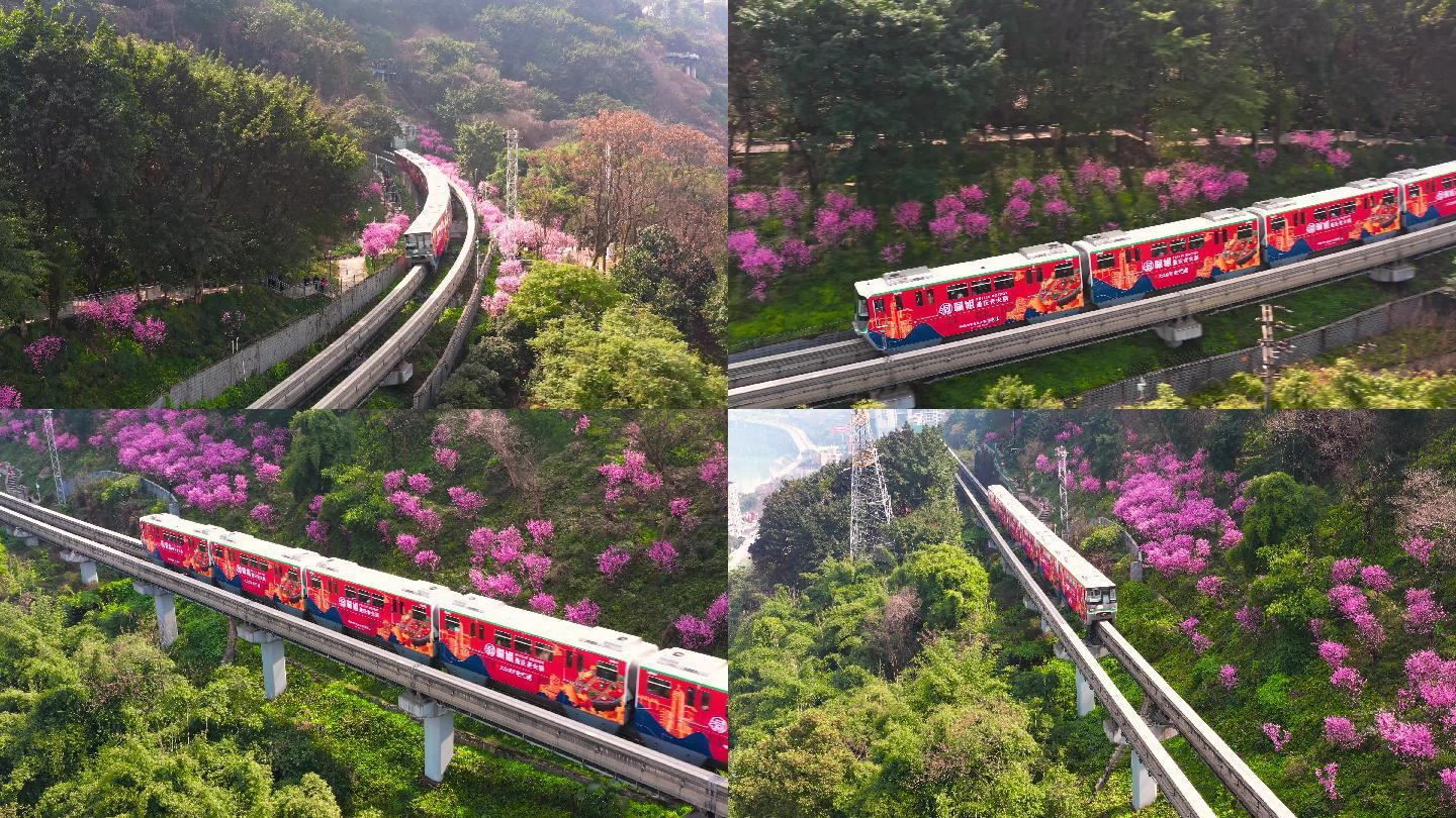 重庆开往春天的列车拍航拍素材4