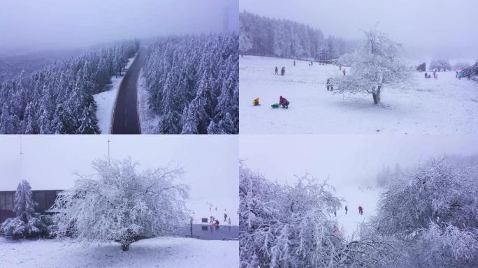 仙女山雪景