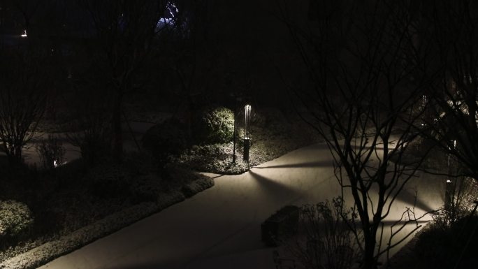 下雪雪花夜景（2K）