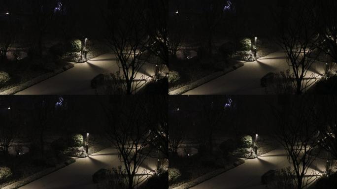 下雪雪花夜景（2K）