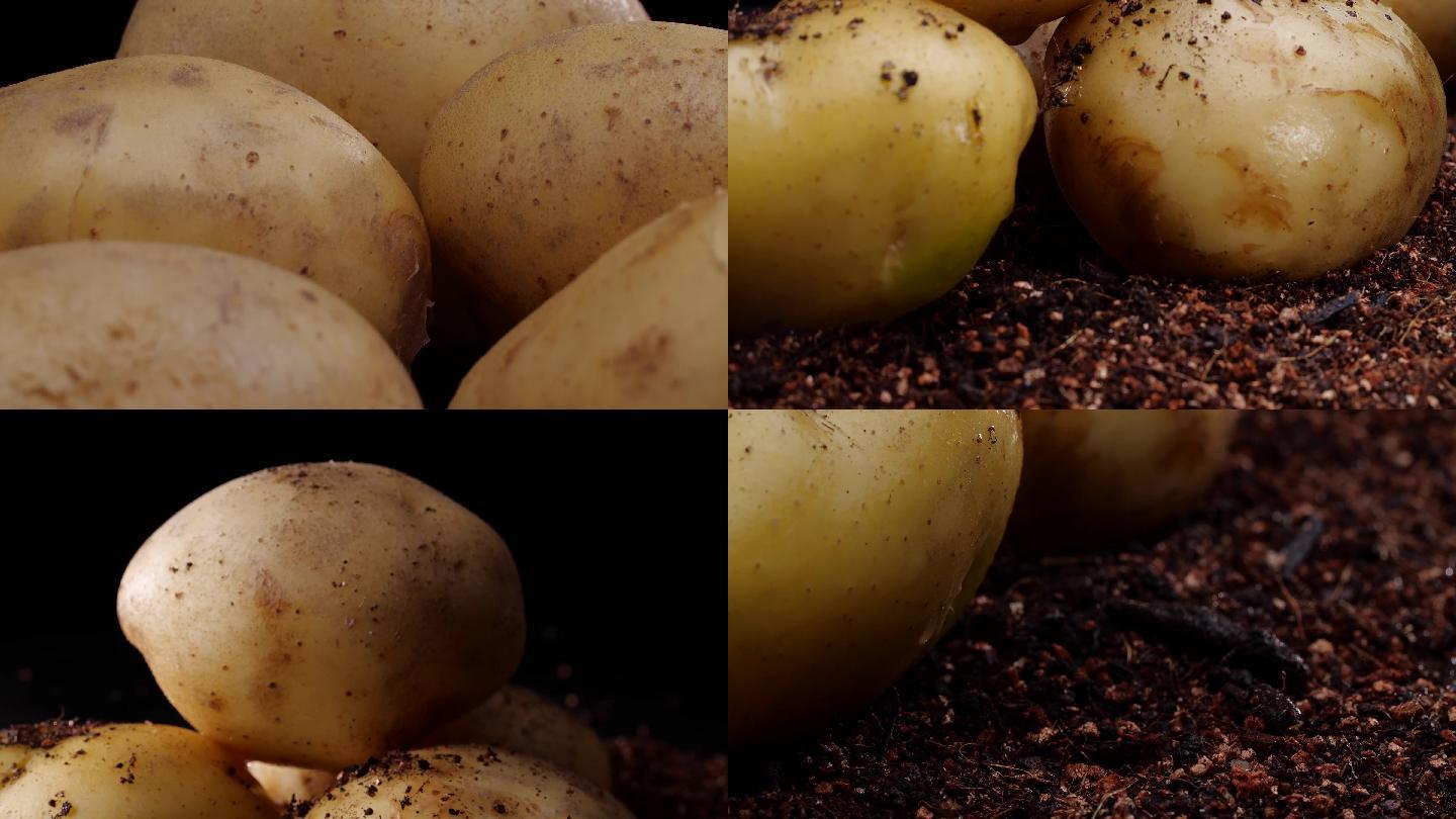土豆各造型展示4K原创
