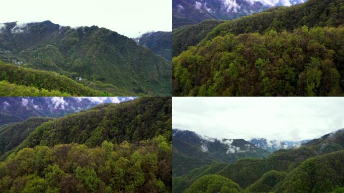 陇南风景云山雾海绿水青山S