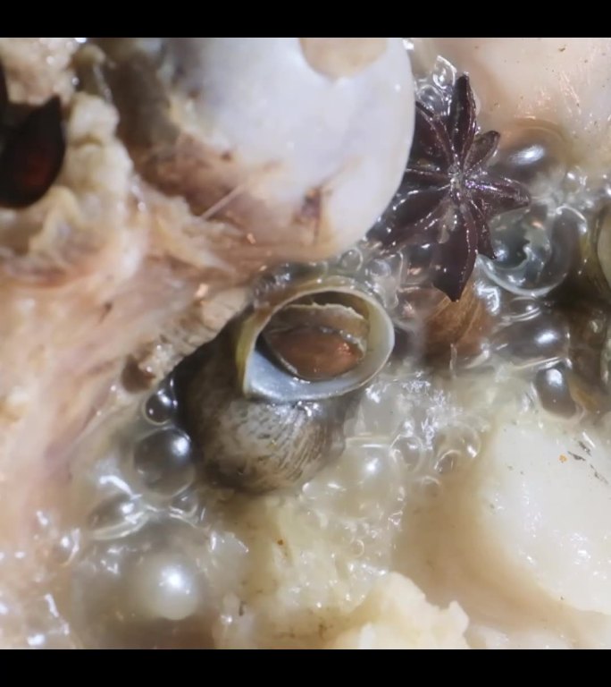 猪骨螺蛳汤底骨头汤煲汤36