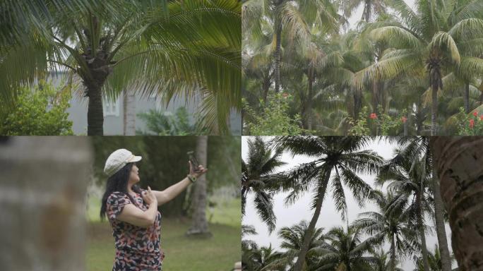 海南文昌椰子大观园实景，椰子王国
