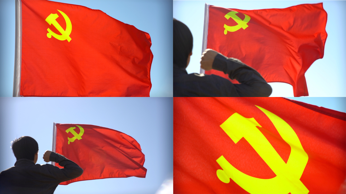 实拍党旗宣誓十一国庆节