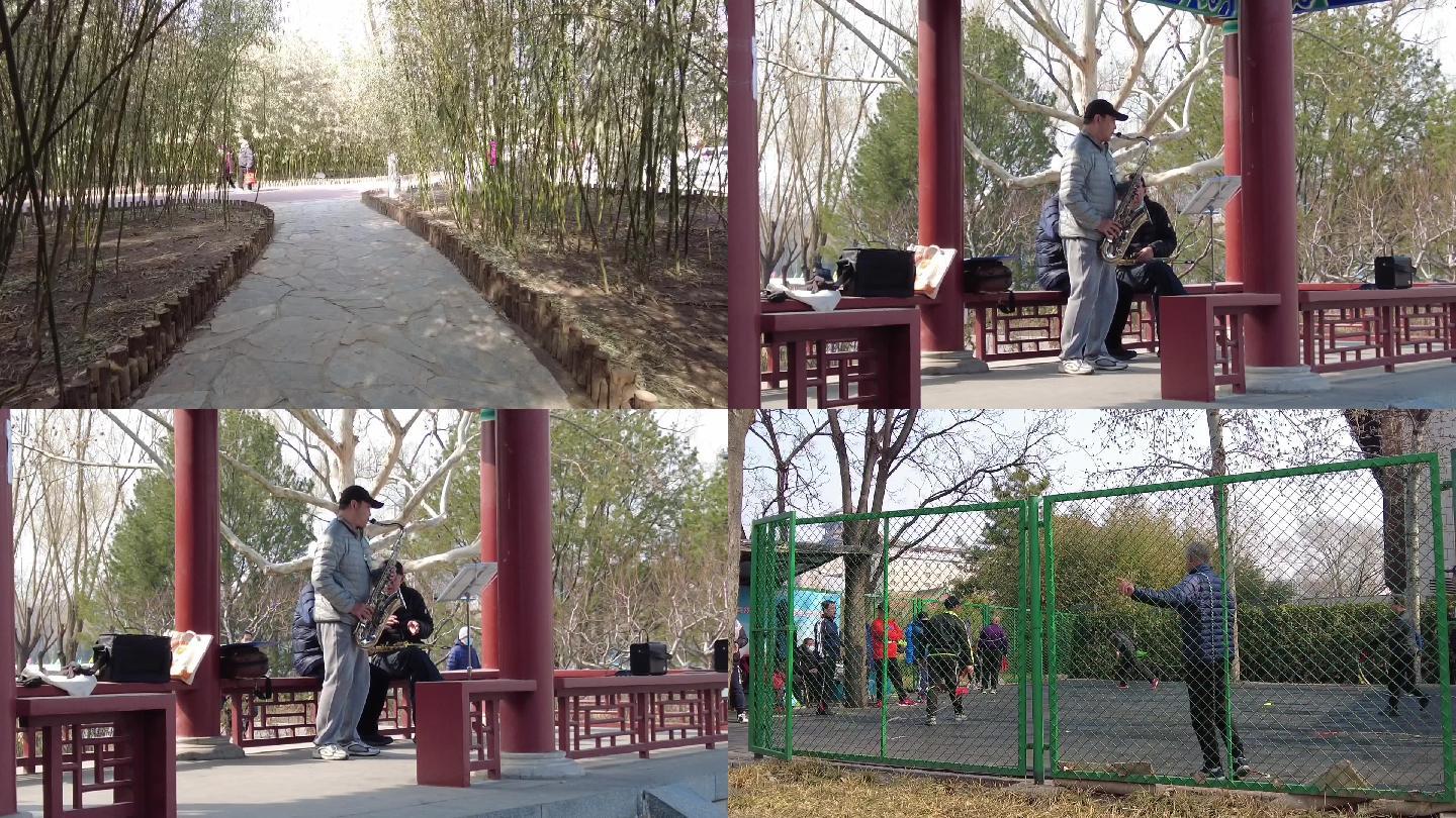 北京公园晨练素材