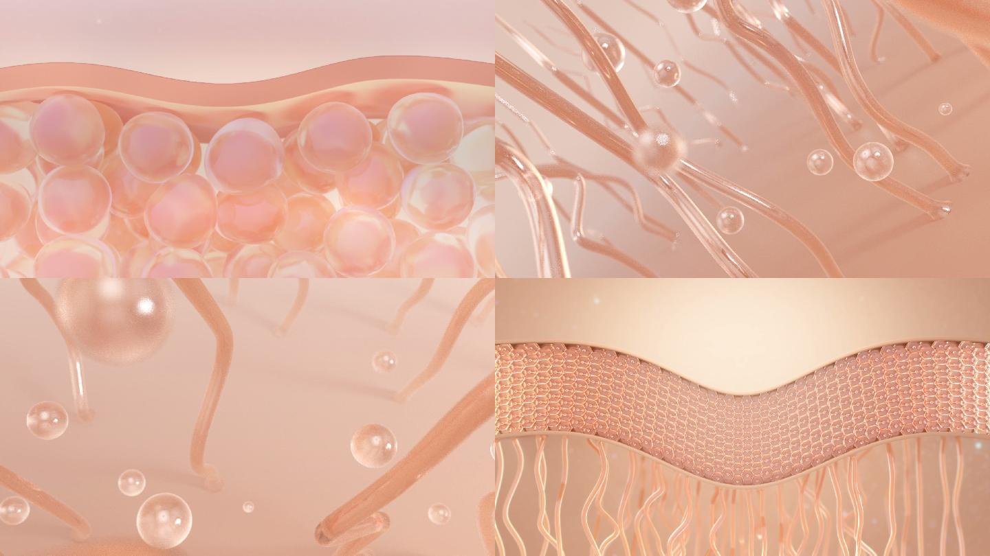 化妆品皮肤细胞动画_AE+C4D模板