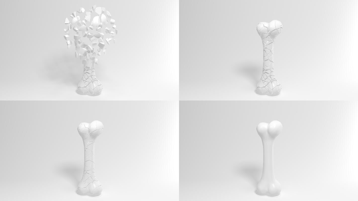 修复有裂痕的骨骼3D渲染