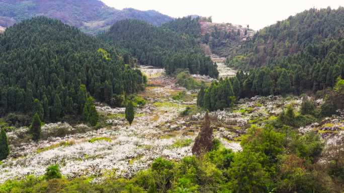 重庆市合川双凤镇江北村乡村航拍2