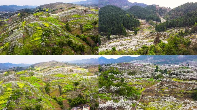 重庆市合川双凤镇江北村乡村航拍2