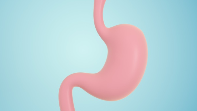 循环蠕动的胃3D渲染