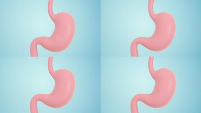 循环蠕动的胃3D渲染