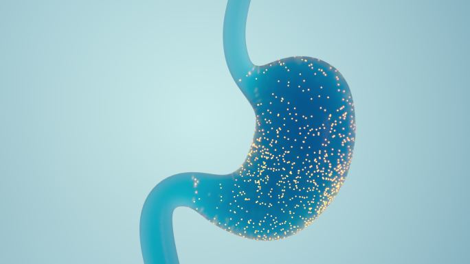 胃部药物吸收动画3D渲染