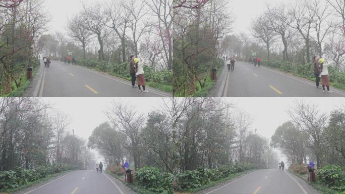 初春大雾下的景区山顶游客一组02