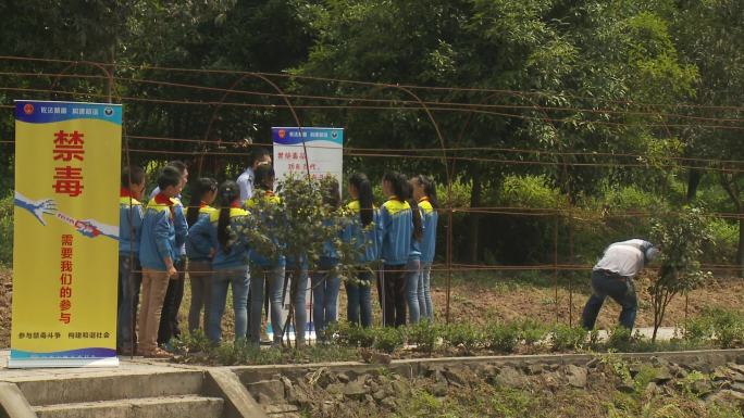 小学学校法制教学楼教室禁毒教育