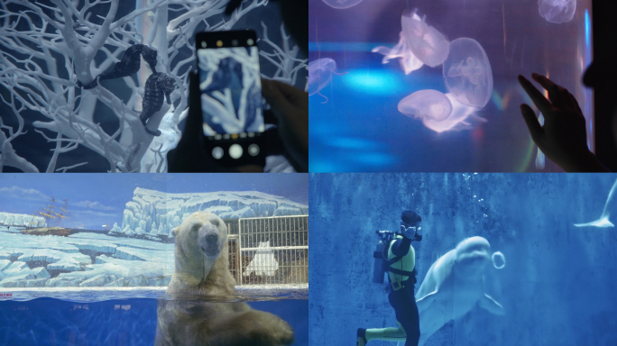 唯美海底世界水族馆【超长合集】