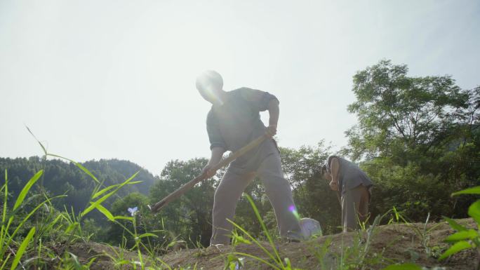 4K古代劳作耕田种田开垦荒山开垦土地吵架