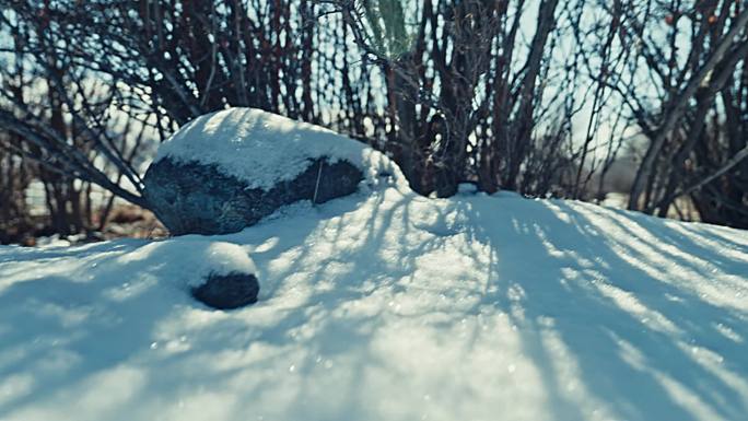 原创实拍冬天唯美雪景镜头