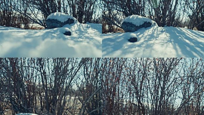 原创实拍冬天唯美雪景镜头