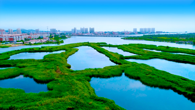 大美北戴河新区B